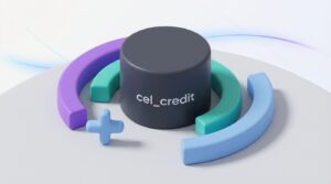 Custo do Serviço para Emissão de CCBs em Lote