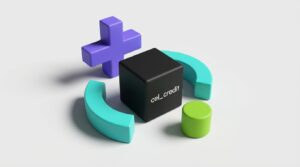 Suporte ao cliente de Credit as a Service: guia com a Celcoin