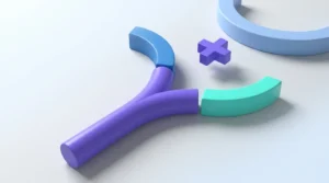 Pix automático com split de pagamento: guia prático
